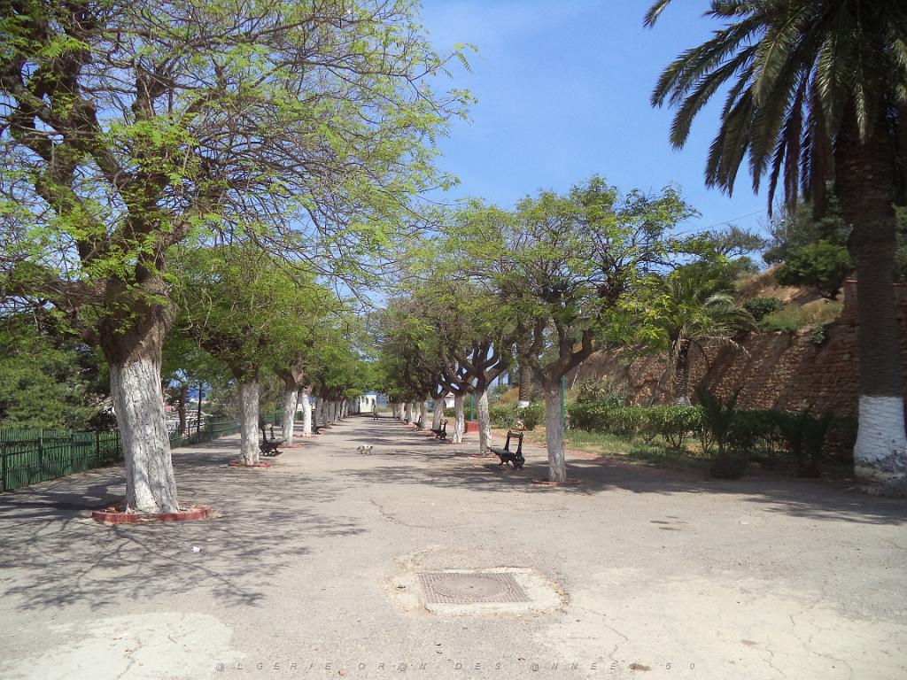 2018 05 VOYAGE A ORAN EN MAI 2018 (91).JPG -                                